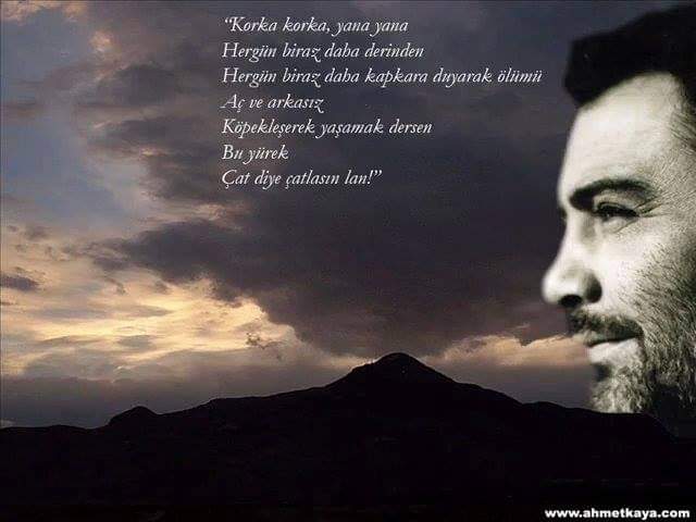 ahmetkaya