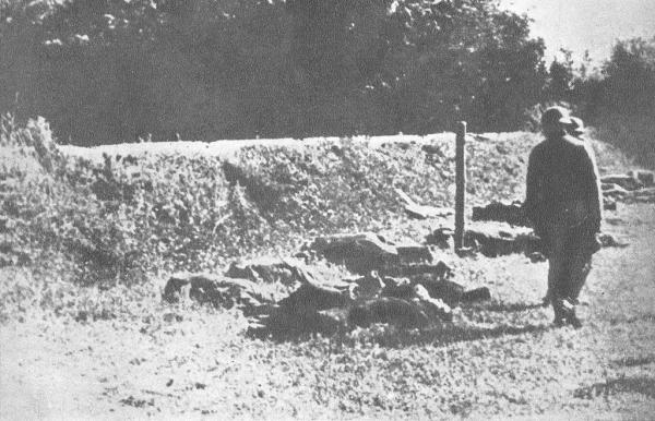 16 luglio 1941: fucilazioni di prigionieri nella foresta di Banjica.
