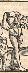 Un Blemma, dalla Cosmographia Universalis di Sebastian Münster (1544)