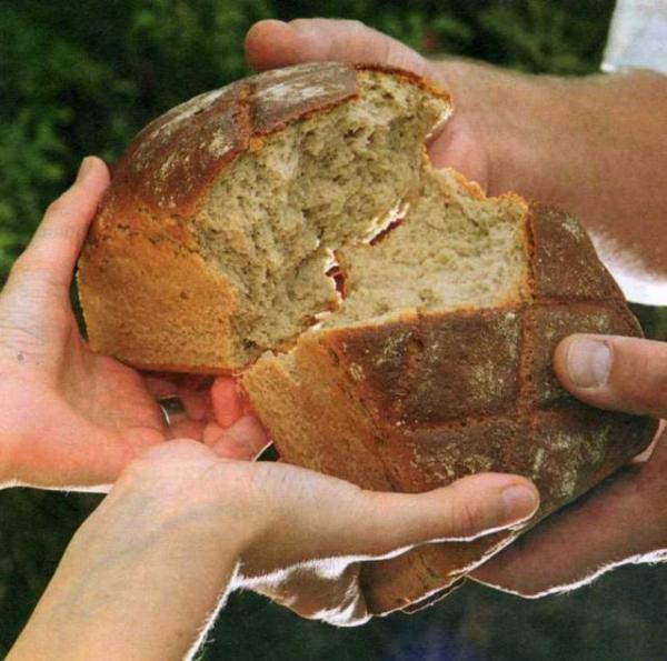 Brich dem Hungrigen dein Brot