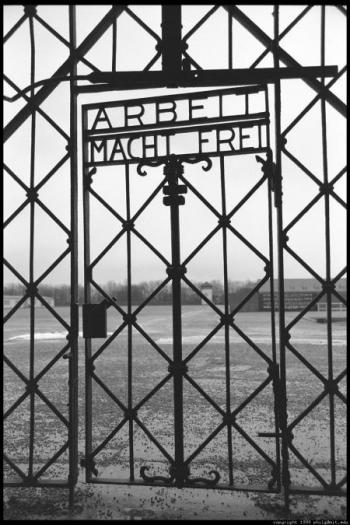 Dachau‎