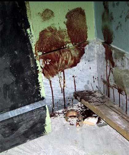 Diaz, massacro di polizia ‎alle scuole Diaz di Genova, avvenuto nella notte tra il 21 ed il 22 luglio 2001.
