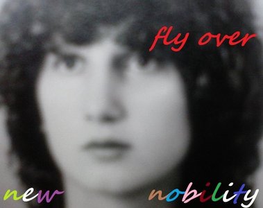 fly over cover