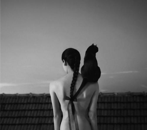 foto di Noell S. Oszvald