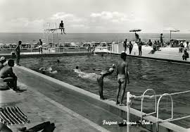 freggenius freggenius