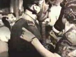 Il gas esilarante presidiava le strade