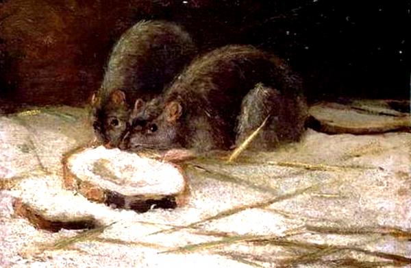 Le Roi des Rats