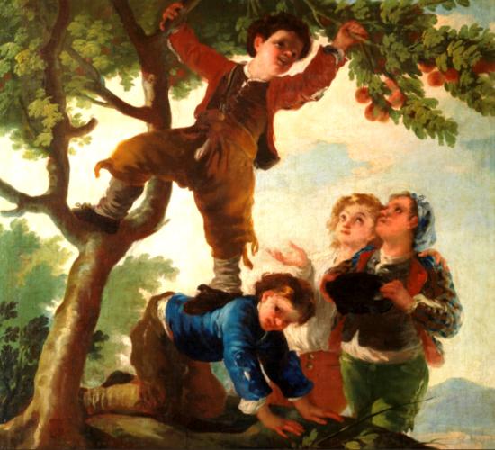 CUEILLETTE DES FRUITS MÛRS     <br />
Francisco Goya - 1778
