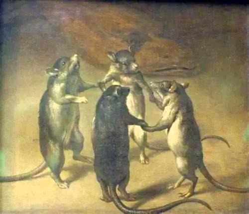 Les Rats iront au Bout du Monde