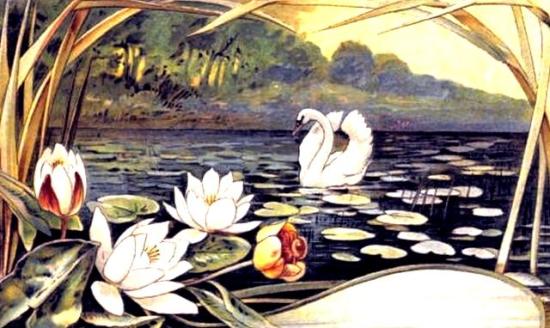 Кооператив 