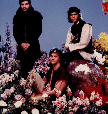 legic3a3o-floresblog