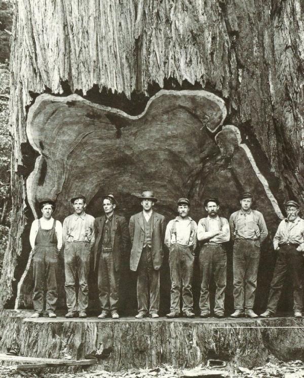 Lumberjacks, 1900s