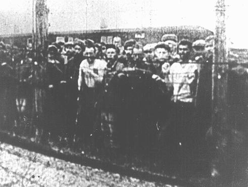 Majdanek (KL Lublin). Prigionieri al momento della liberazione.