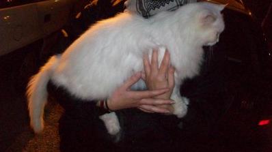 A questo punto il prezzo qual è