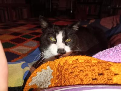 Δυό ιερείς , ένας Θεός και η τσιγγάνα η Μαριώ