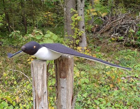 San Francisco (Be Sure to Wear Some Flowers in Your Hair)