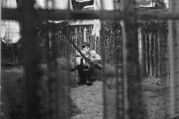 Chaos and Creation in the Backyard