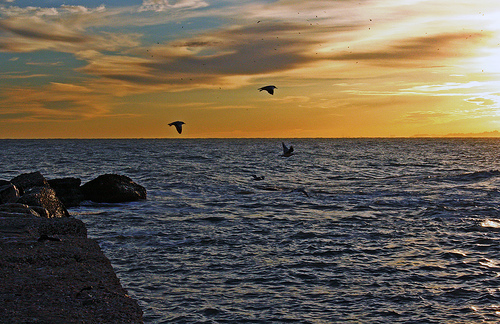 Piero Ciampi: Il Natale è il 24