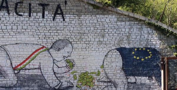 perinfotavsucare perinfotavsucare