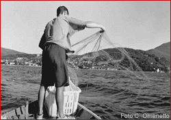 Pescatore piemontese sul lago Maggiore.