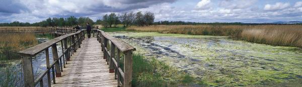 Tablas de Daimiel y del Guadiana