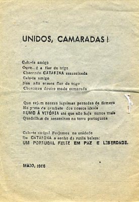 Canção de Catarina