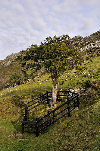 Pozu Funeres