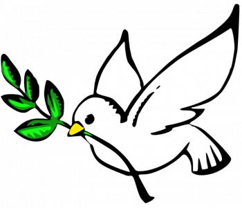 s'envolent les colombes