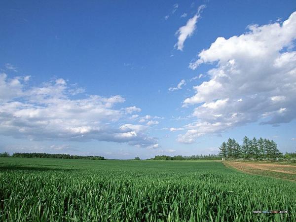 Clear Blue Skies