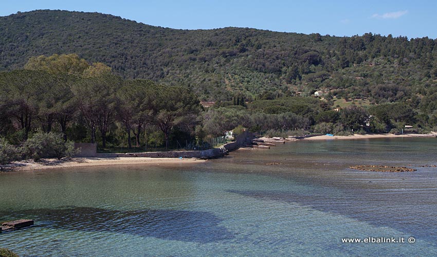 Άρνηση [Στο περιγιάλι το κρυφό]