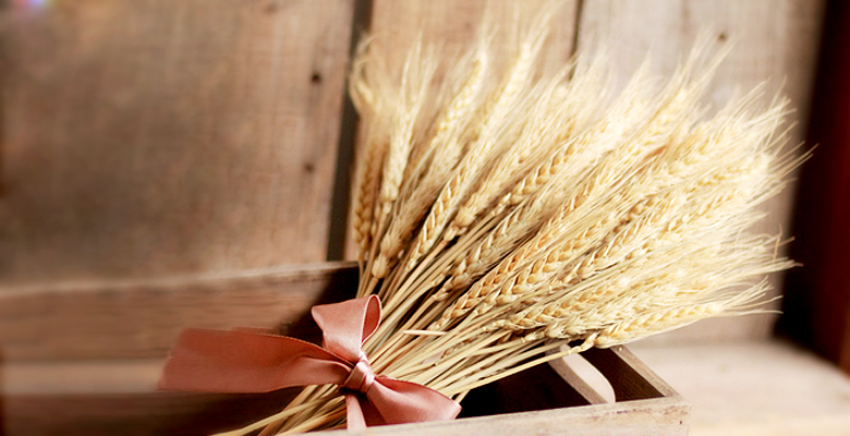 Sono nata il ventuno a primavera