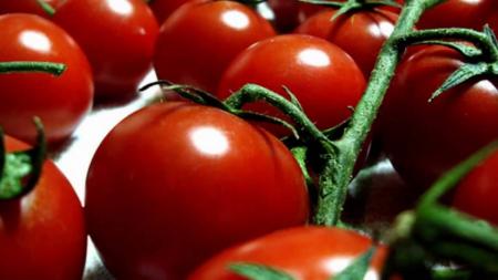 Tammuriata de pummarole <i>e</i> 'A cantata de maccarune